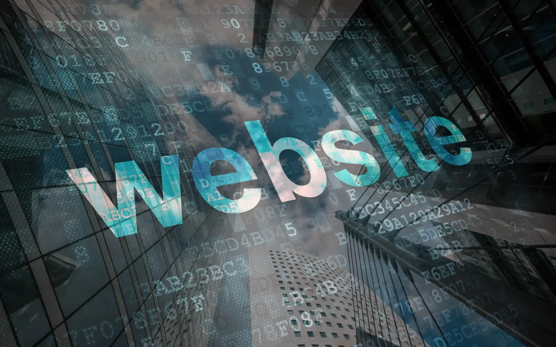 Image on the Digital Vantage website