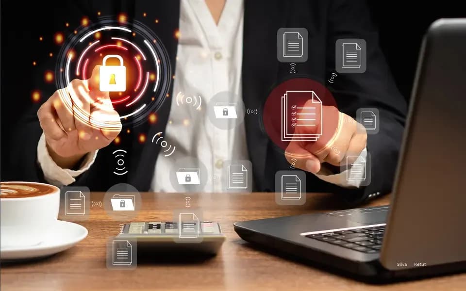 Image on the Digital Vantage website