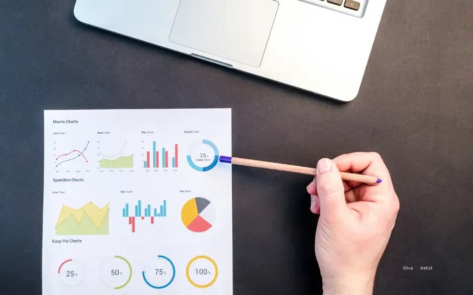 Image on the Digital Vantage website