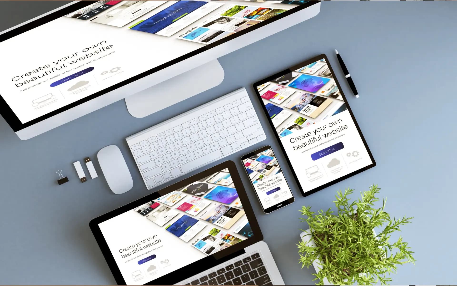 Image on the Digital Vantage website