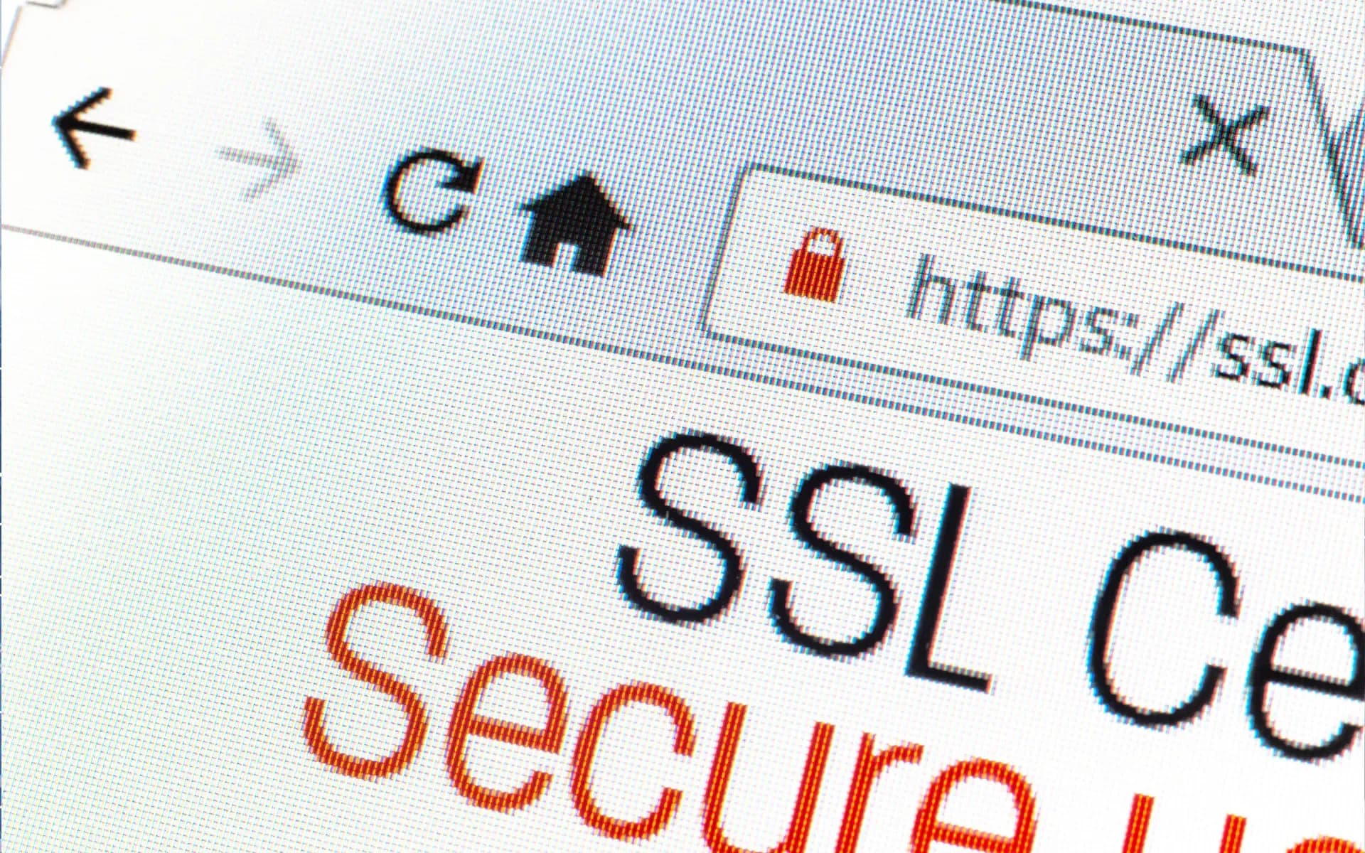 SSL and HTTPS for businesses