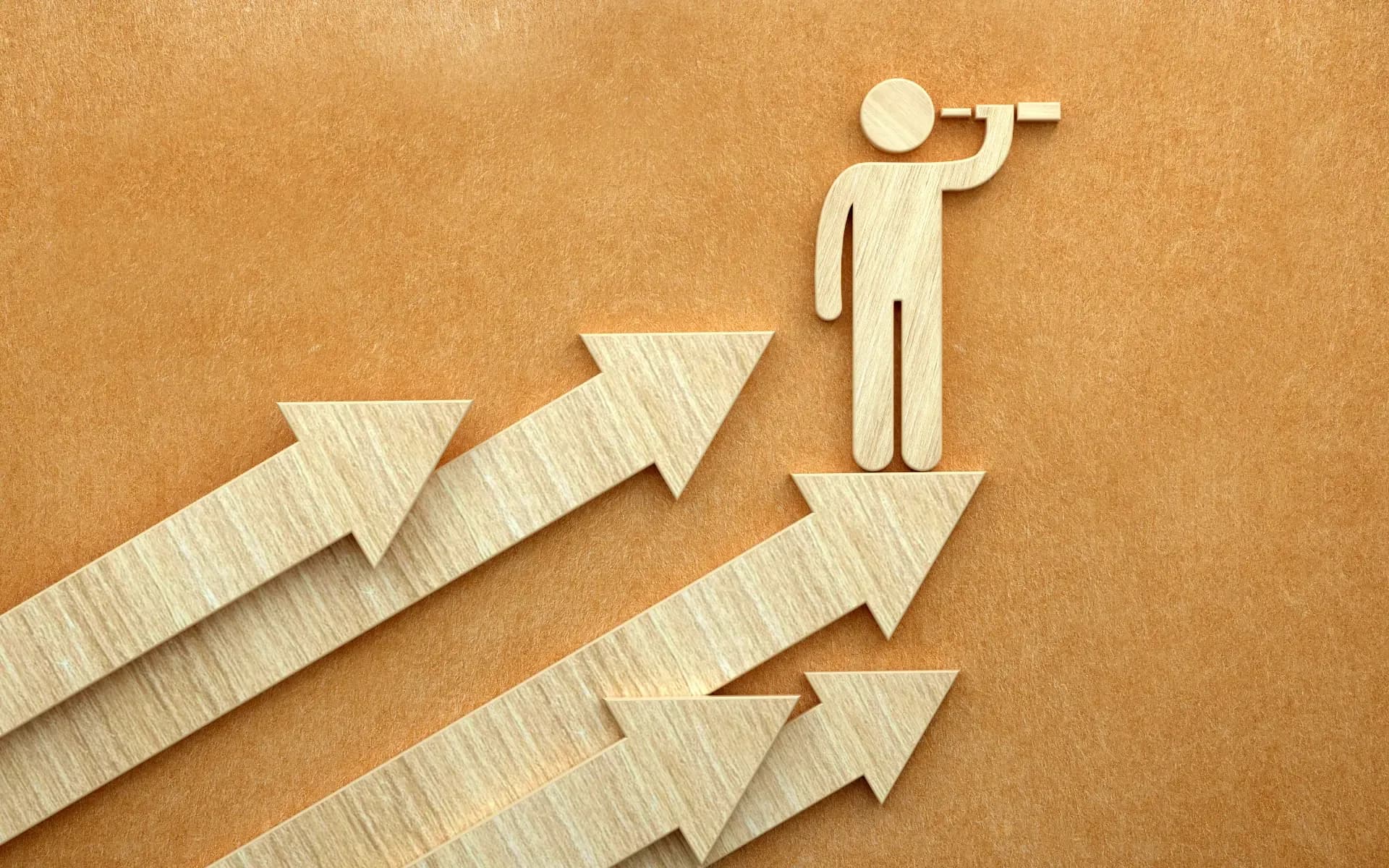 Image on the Digital Vantage website