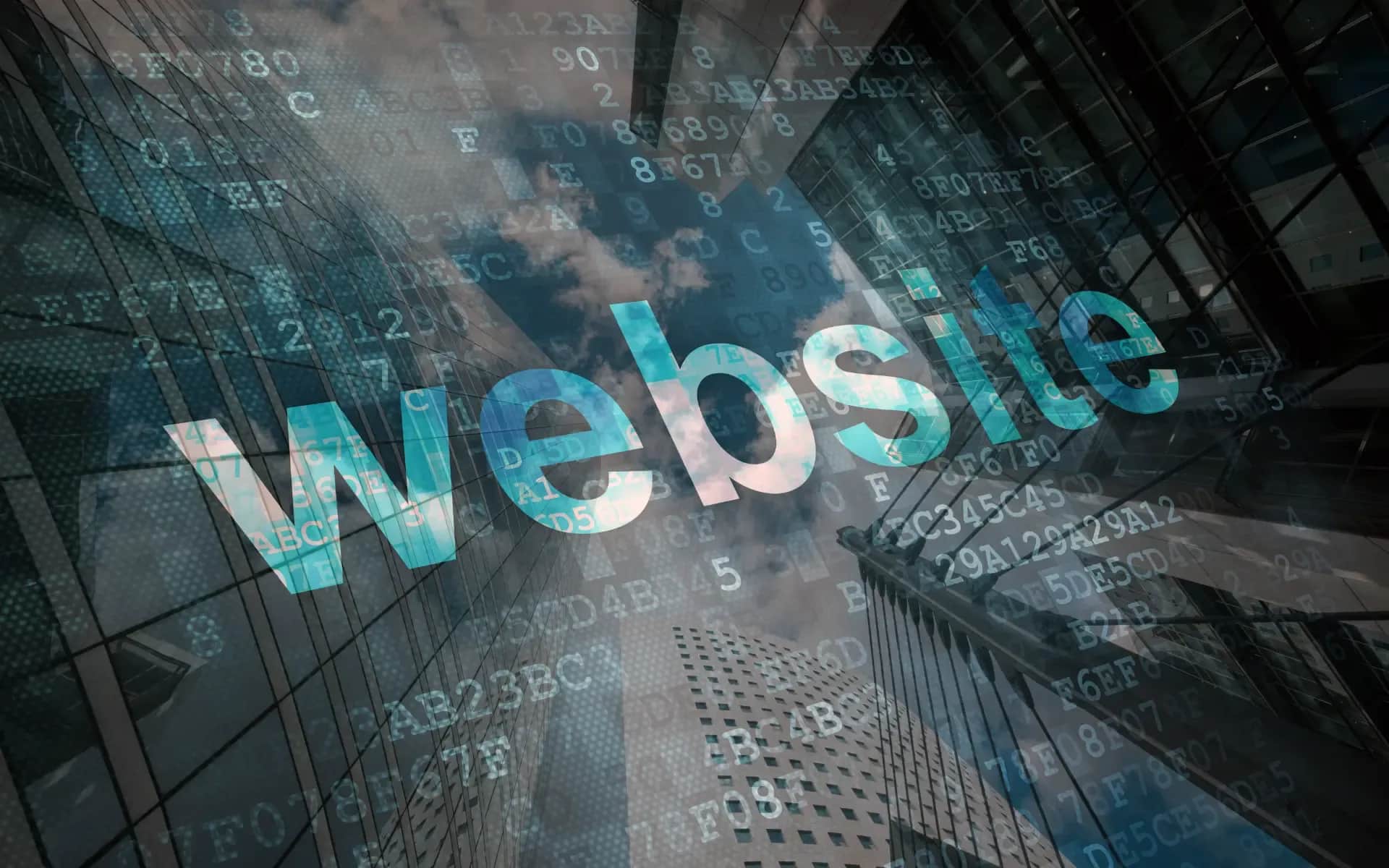 Image on the Digital Vantage website