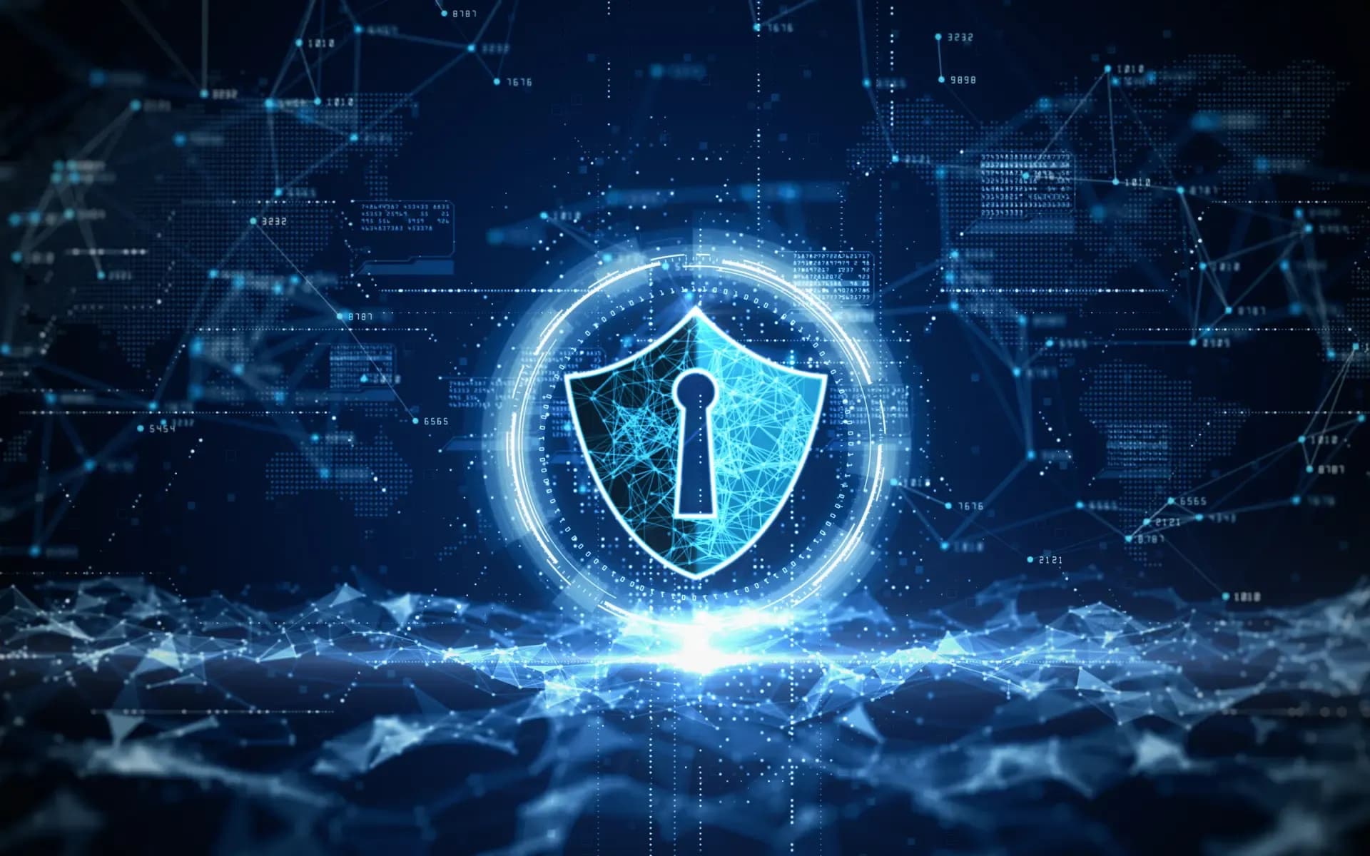 Image on the Digital Vantage website